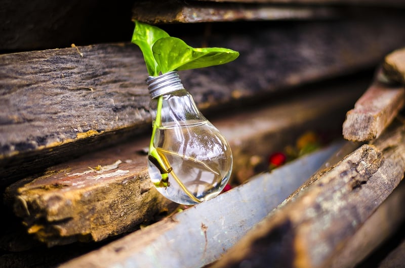 Sustainable Upcycling
